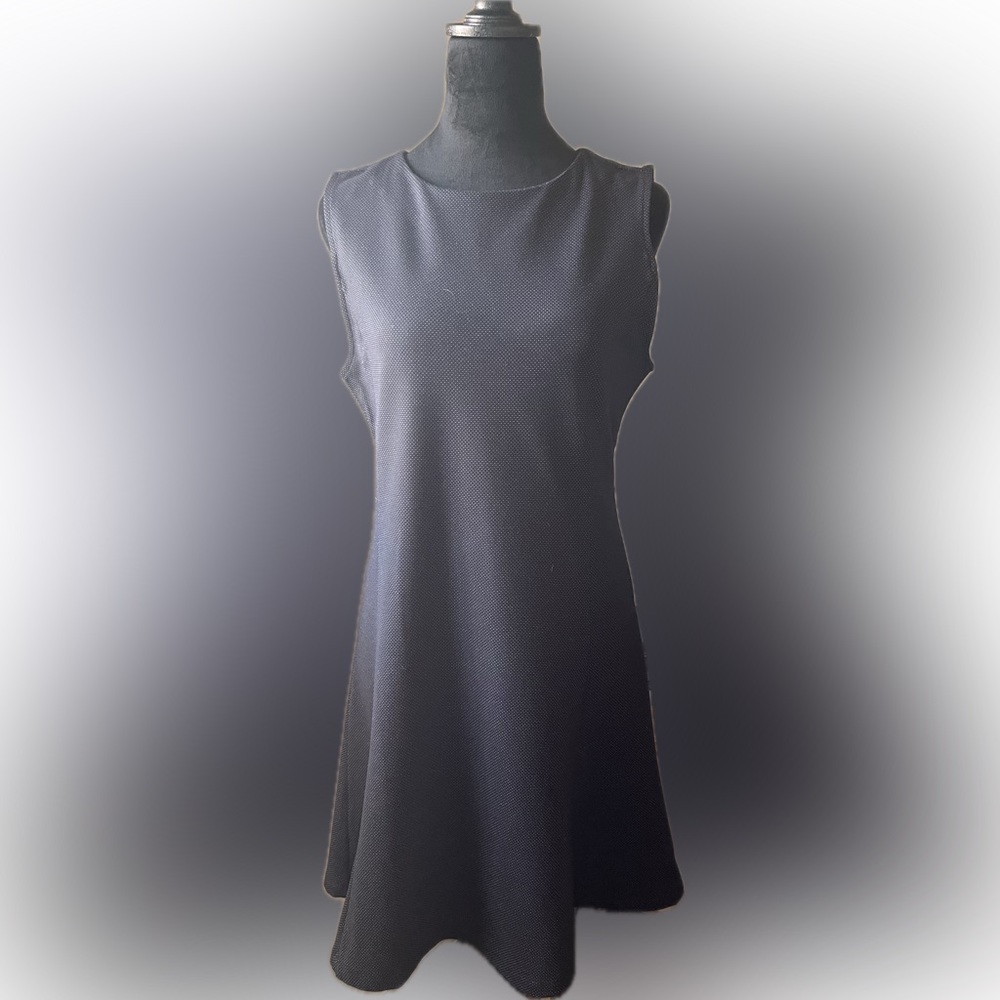 Banana Republic Swing Dress